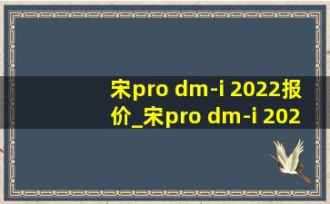 宋pro dm-i 2022报价_宋pro dm-i 2024款dm-i荣耀版